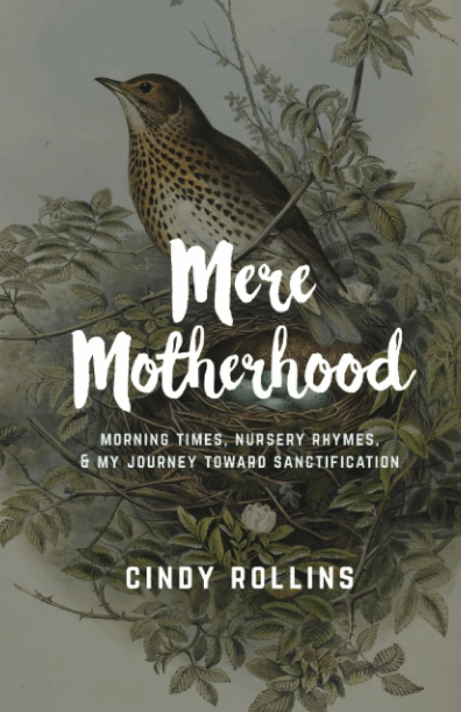 Mere Motherhood Book
