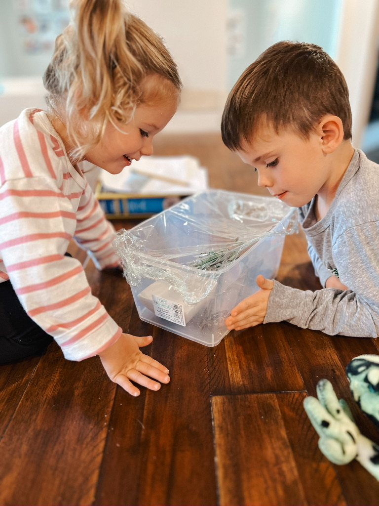 PreK Homeschooling