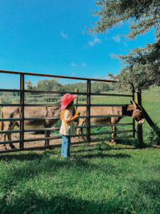 Summer Country Living