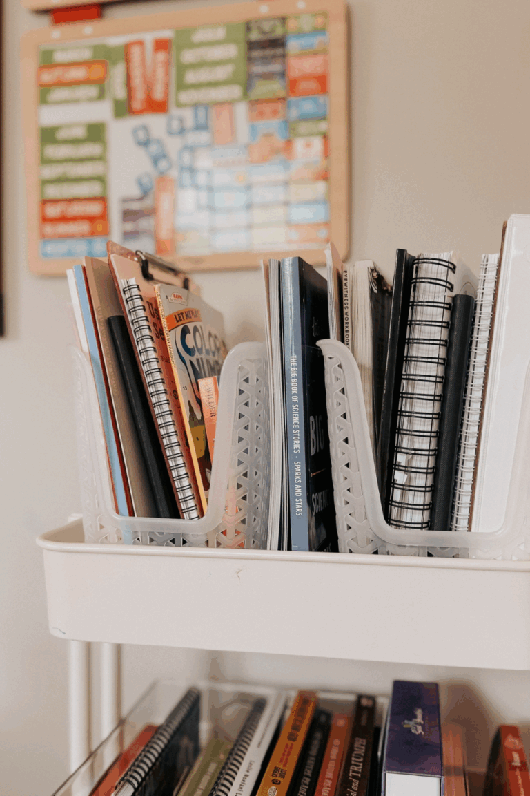First Grade Homeschool Curriculum That Worked for Us